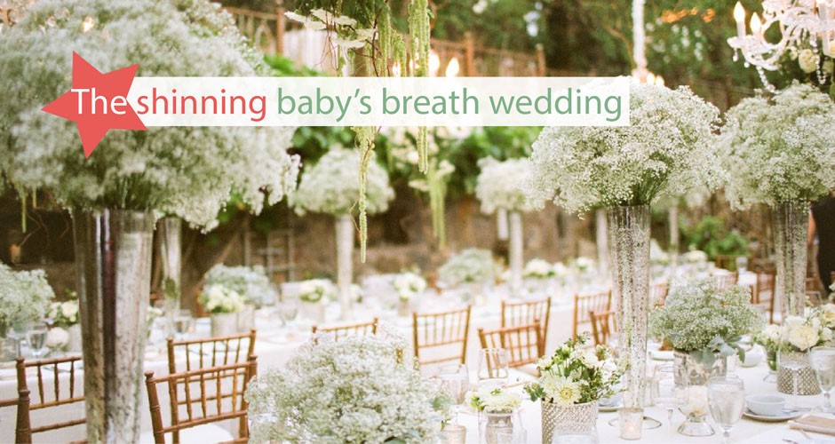 The shinning baby’s breath wedding**